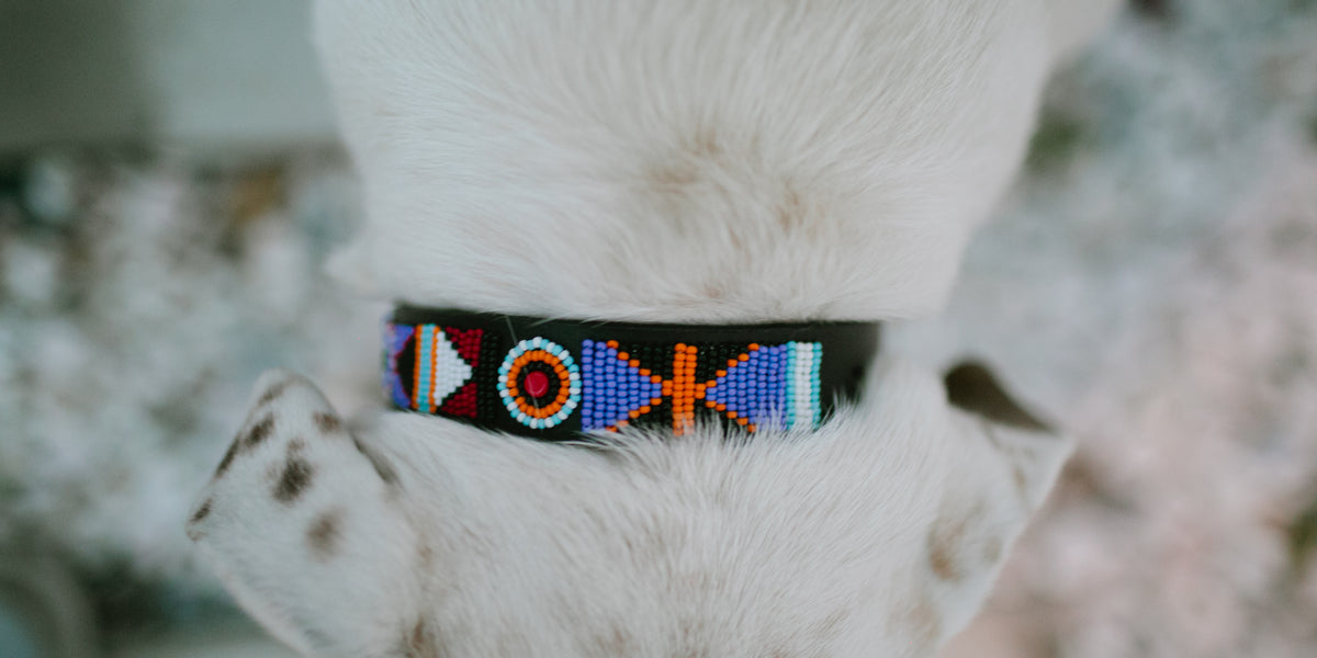 Adorable DIY Dog Collars to Make Walk Time Extra Stylish